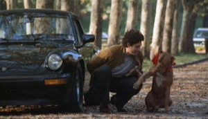 Porsche 911, hond