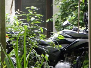 Honda na de winterstop