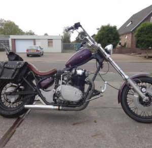 woesthoff Startwin custom