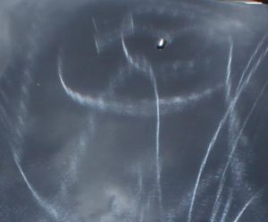 auto poetsen hologrammen in lak
