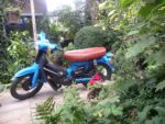 Honda in tuin
