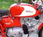 De motorzomers van toen, Armacchi Ala Verde