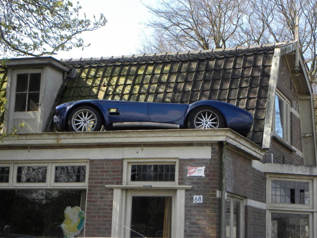 Hans Theunissen Cobra