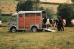 Citroën Type H 1961