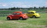 Oldtimerregeling