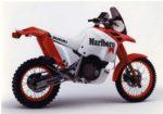 Suzuki DR 800