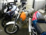 APRILIA Motó 6.5. Een nieuwe klassieker
