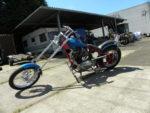Santee Triumph