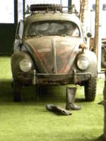 VW