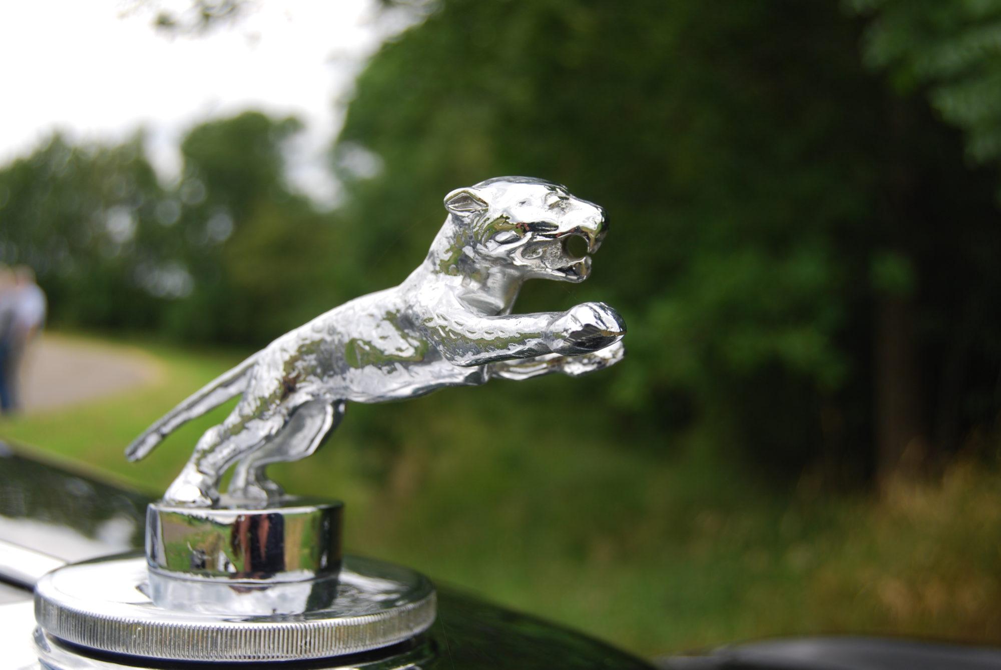Jaguar SS100