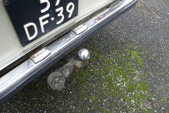 Fulvia