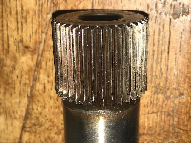 Imago