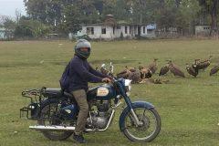 India