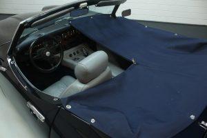 TVR 3000S - afdekhoes