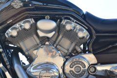 Harley-Davidson Evolution
