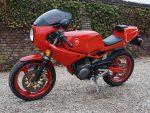 Gilera Nuevo Bialbero 500
