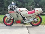 Suzuki RG250
