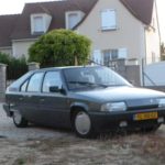Klassiekers en honden uit het asiel