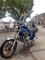 Suzuki Custom