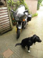 Column – Marktplaats? Laat maar… - Auto Motor Klassiek