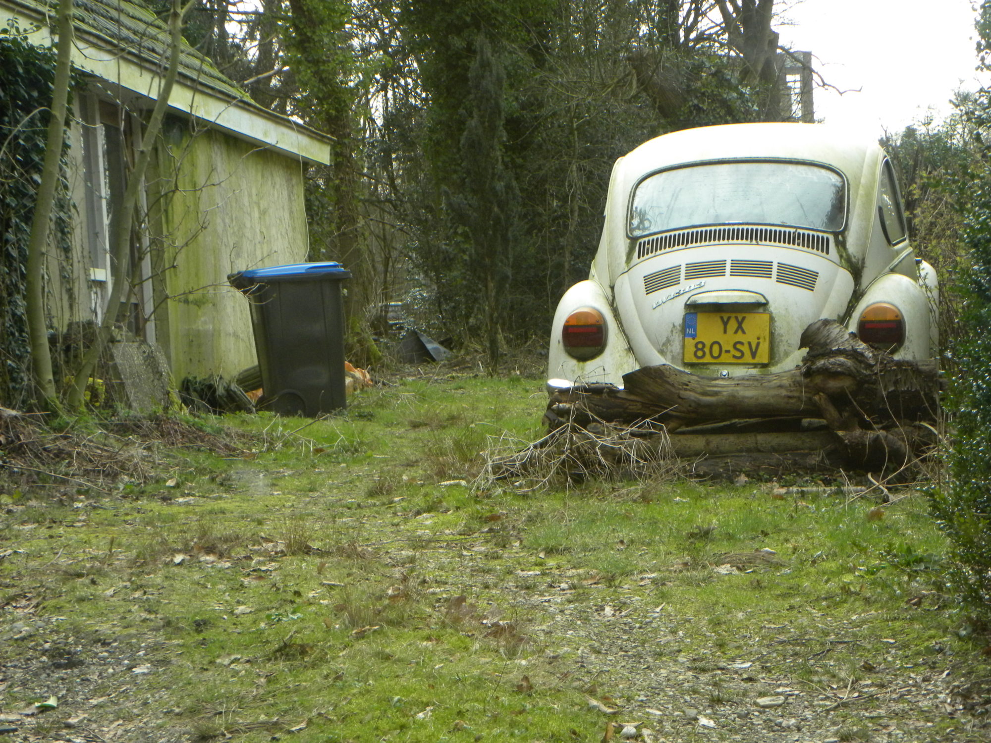 VW Kevers