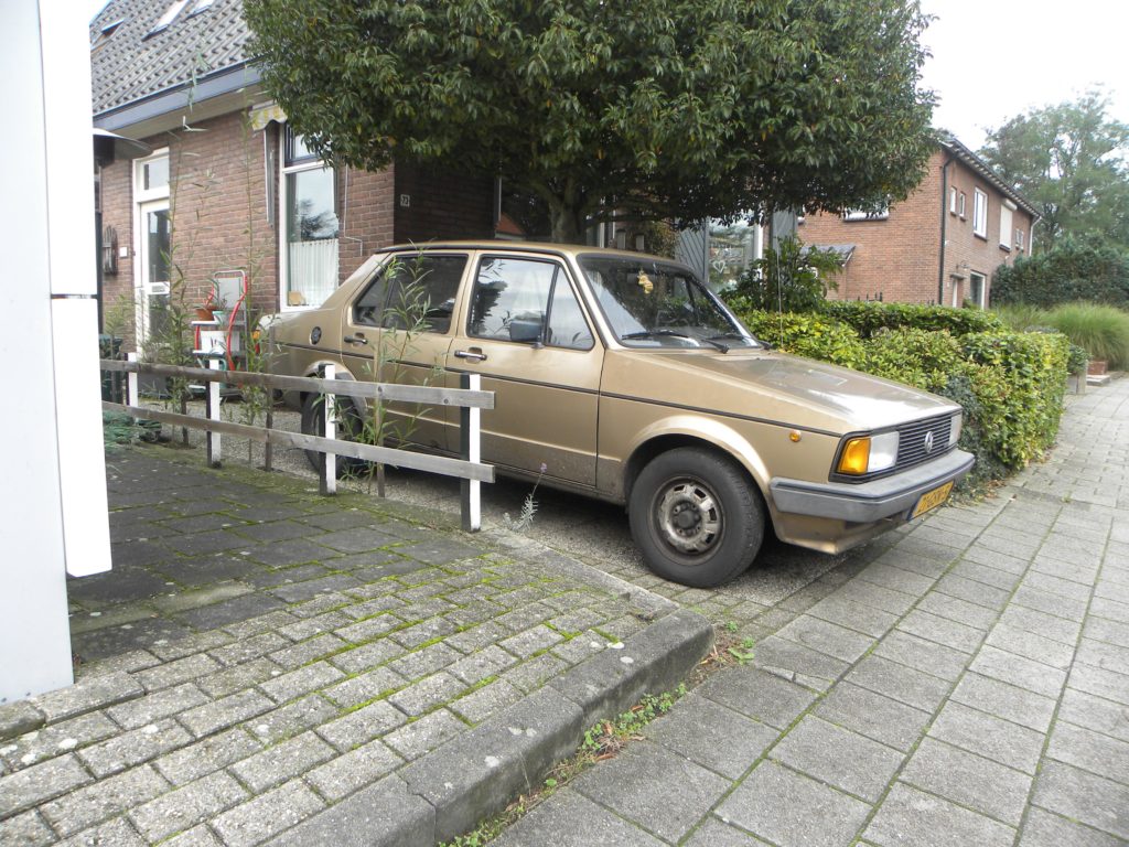 Winterstalling. Herfst, marters en muizen - Auto Motor Klassiek