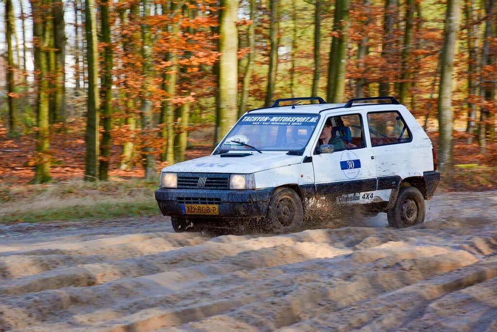 Fiat Panda 4x4 ploegt wel door het terrein, zolang je de vaart erin houdt: Berggeit maakt bokkensprongen